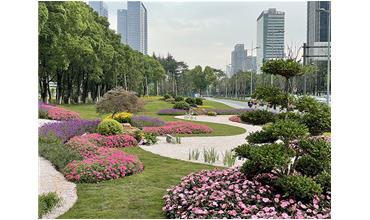 來現場打卡，感受“美麗無錫”的美好